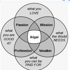Thoughts for the new year about women, business models, and Ikigai