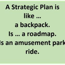 A Strategic Plan is like a rainforest.