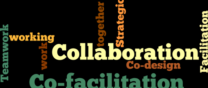 Co-facilitation and Collaboration: working with colleagues is great.